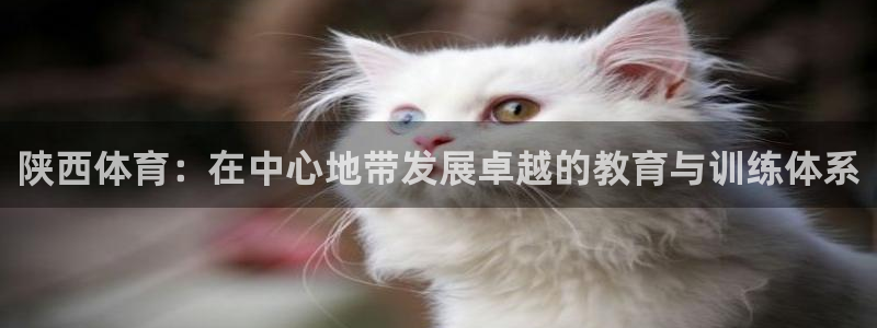 vsport体育官网下载招商电话地址查询:陕西体育:在中心地