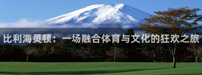 注册vsport体育官方正版app:比利海灵顿:一场融合体育