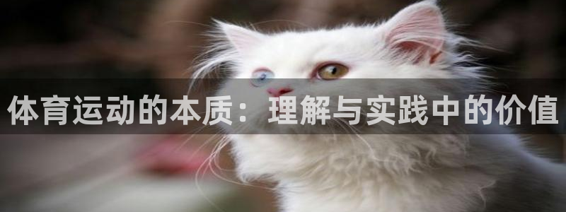 vsport体育官方正版app娱乐代理怎么样:体育运动的本质